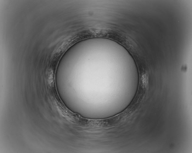 X0000115020963200911091439