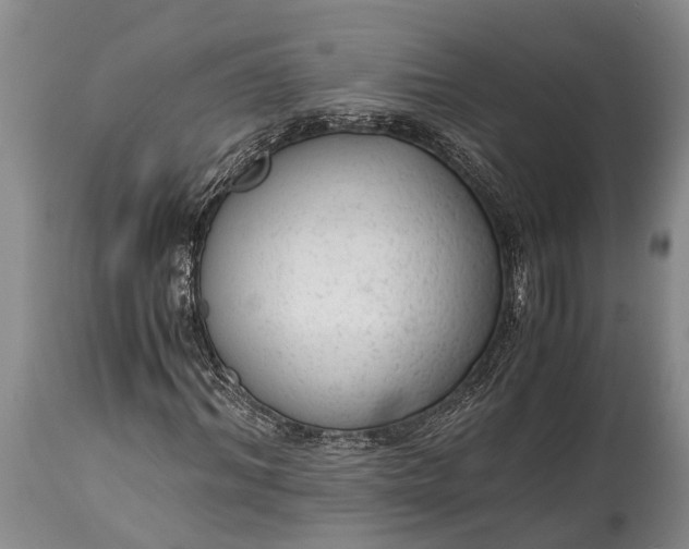 X0000115020964200911091439