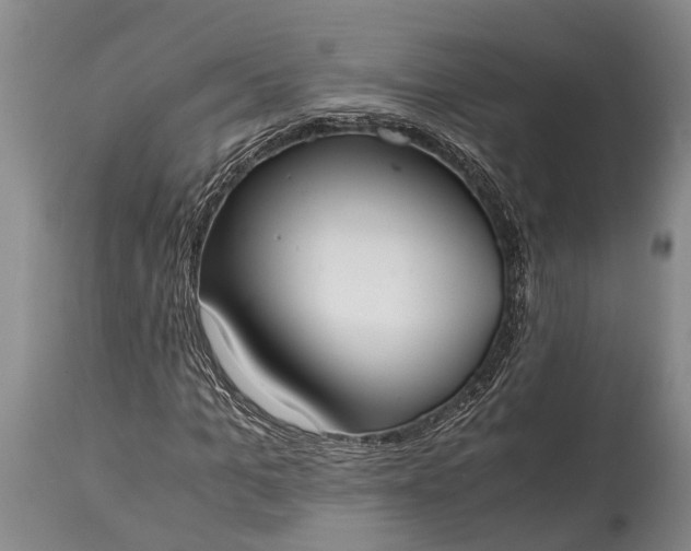 X0000115020965200911091439