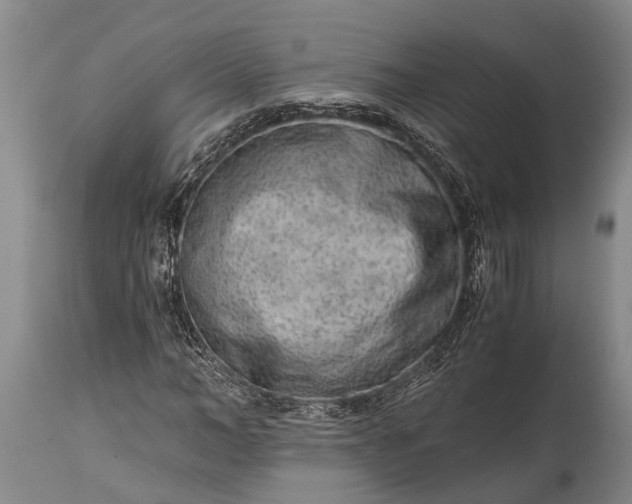 X0000115020966200911091439