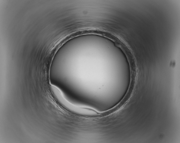 X0000115020969200911091439