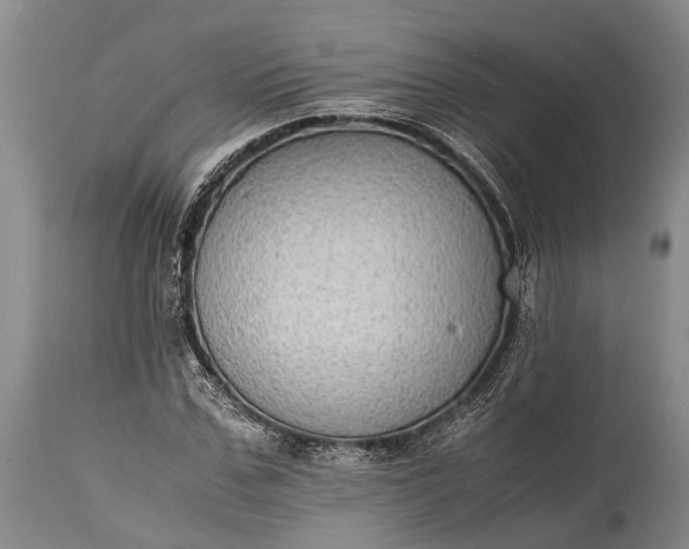 X0000115020971200911091439
