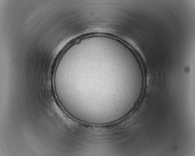 X0000115020972200911091439