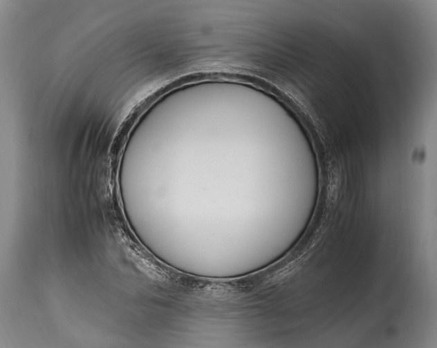 X0000115020974200911091439
