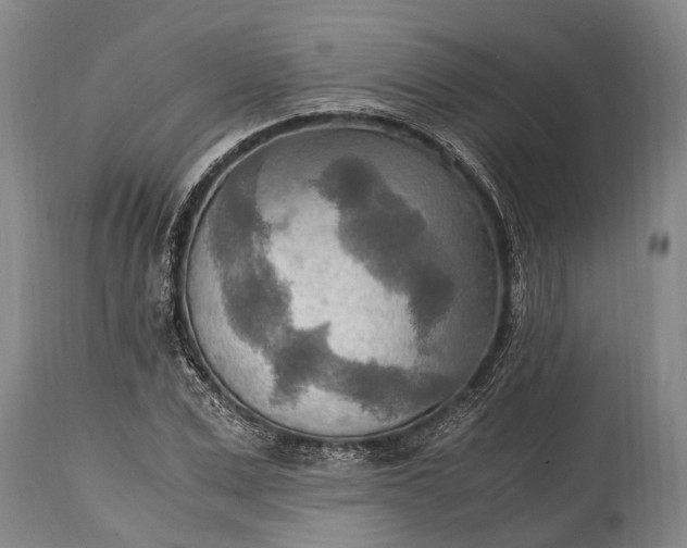 X0000115020975200911091439