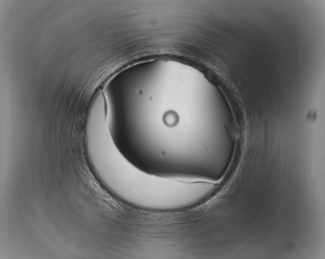 X0000115020977200911091439
