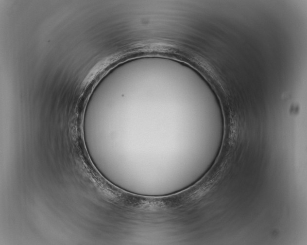 X0000115020978200911091439
