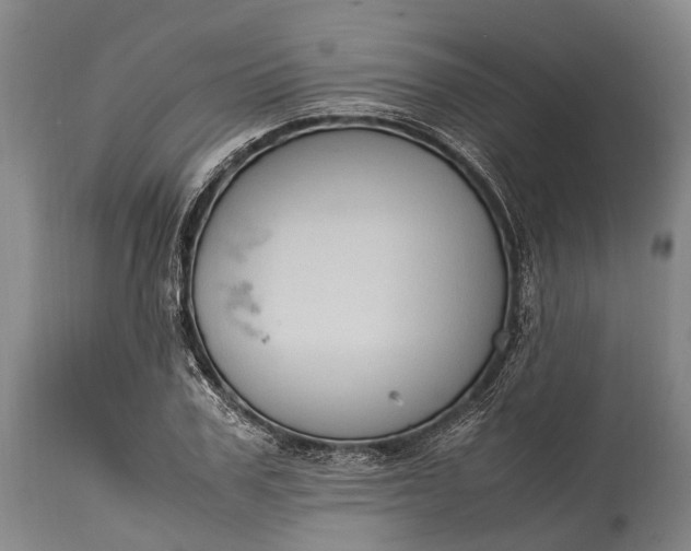 X0000115020979200911091439