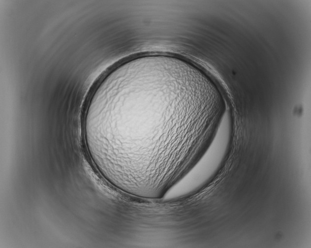 X0000115020980200911091439