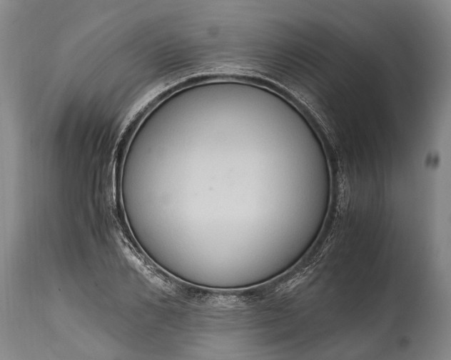 X0000115020982200911091439