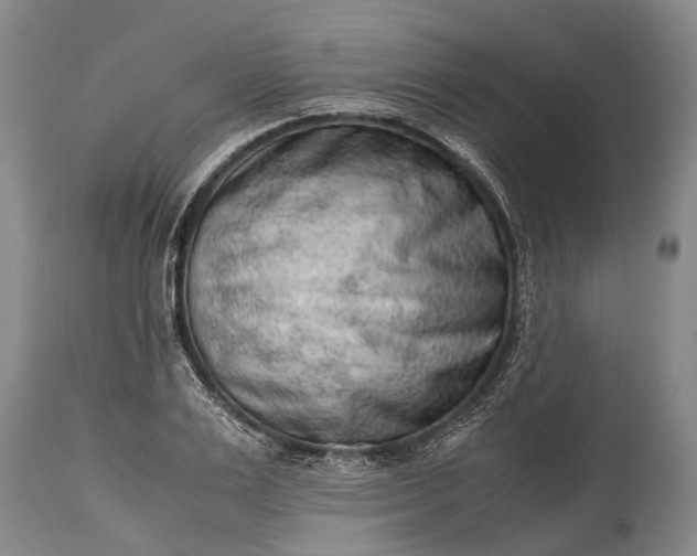X0000115020983200911091439