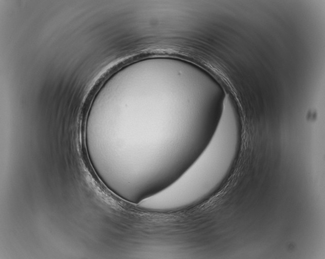 X0000115020984200911091439