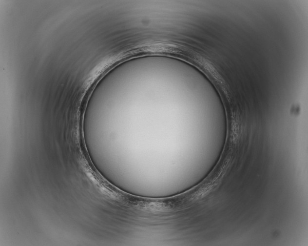 X0000115020986200911091439