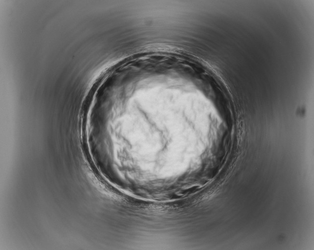 X0000115020987200911091439