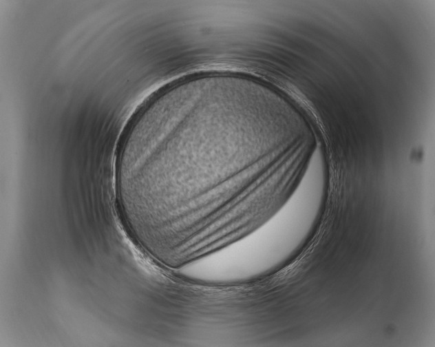 X0000115020988200911091439