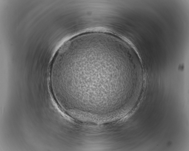 X0000115020989200911091439