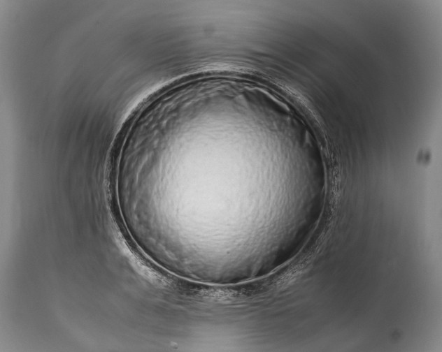 X0000115020991200911091439