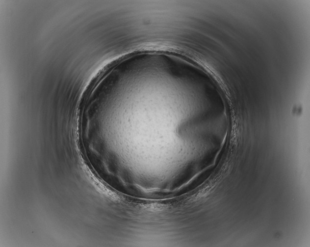X0000115020992200911091439