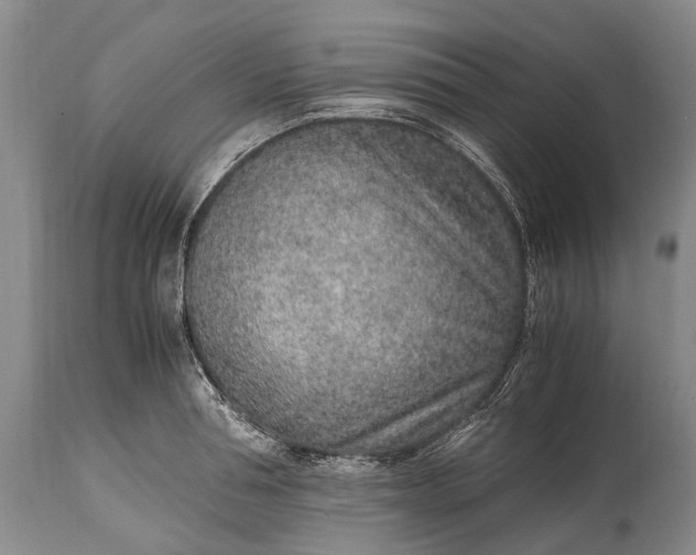X0000115020994200911091439
