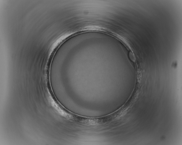 X0000115020995200911091439