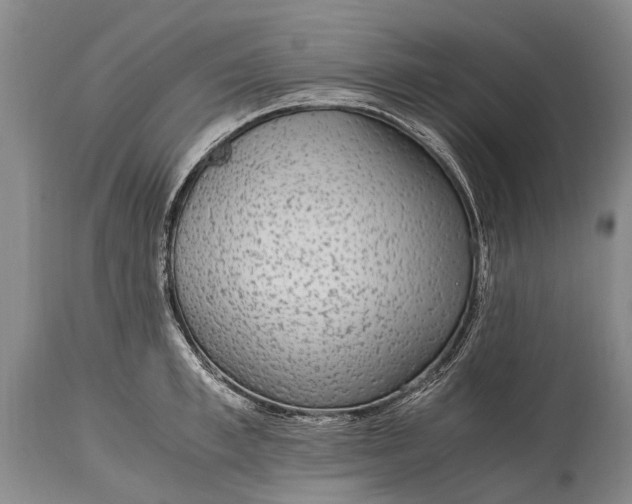 X0000115020997200911091439