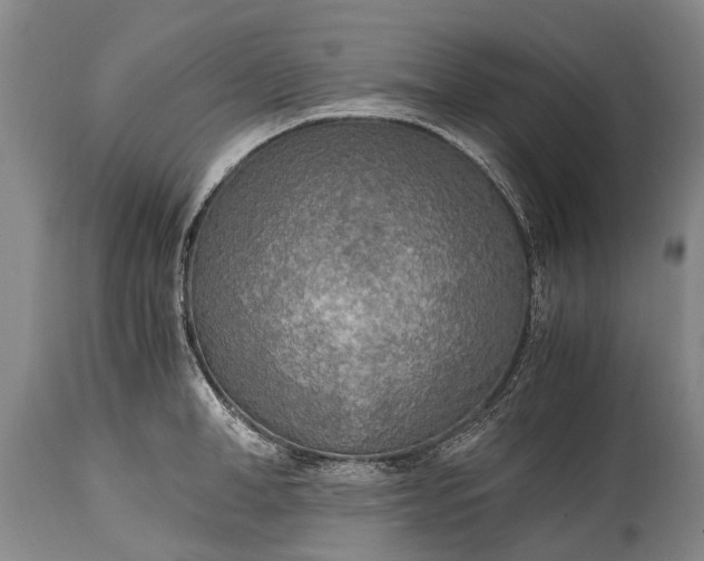 X0000115020998200911091439