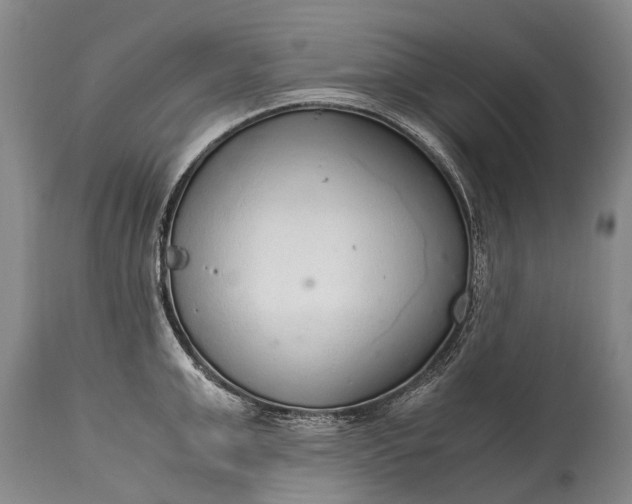 X0000115020999200911091438