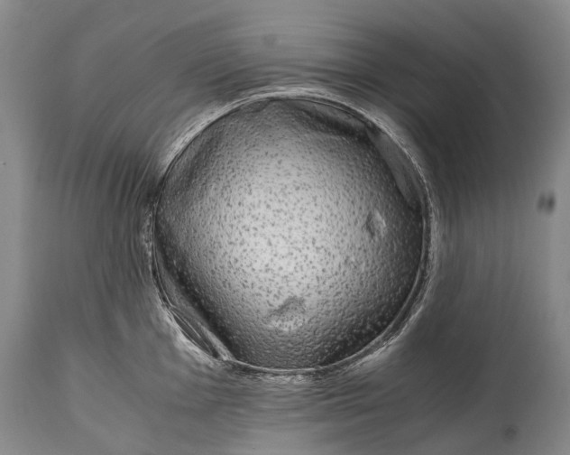 X0000115021001200911091438