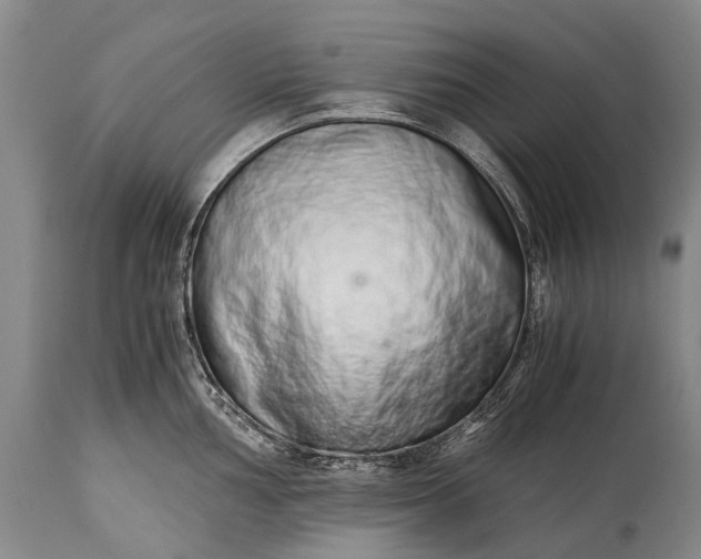 X0000115021002200911091438
