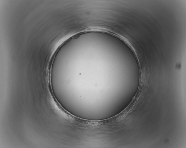 X0000115021003200911091438