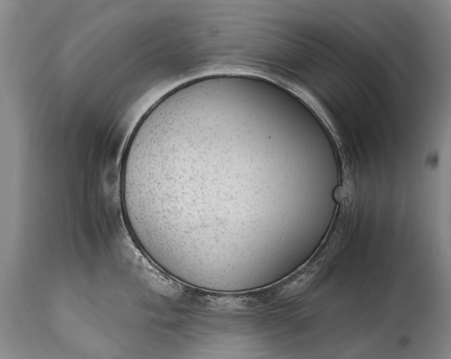 X0000115021004200911091438