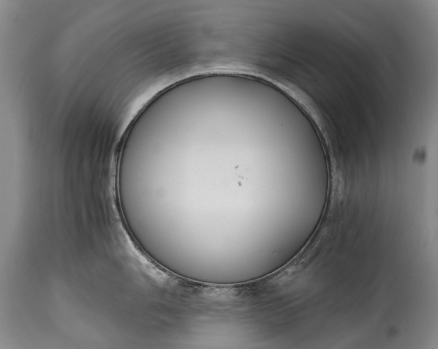 X0000115021006200911091438