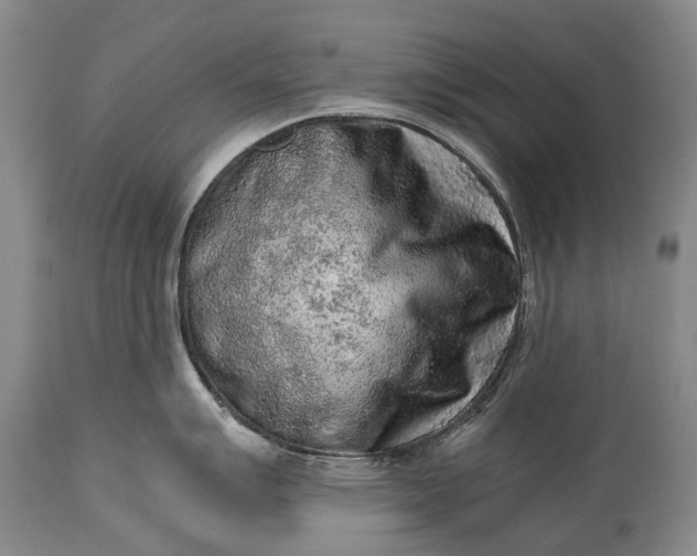 X0000115021007200911091438