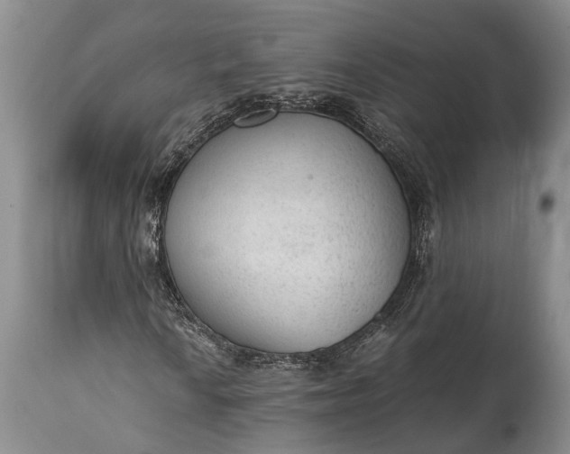 X0000115021010200911091438