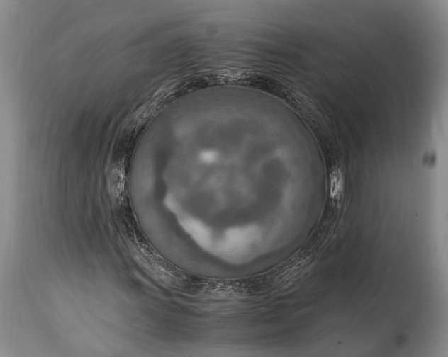 X0000115021011200911091438
