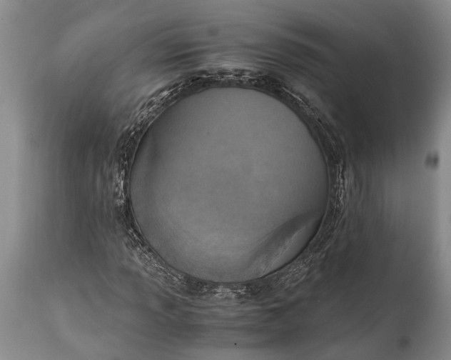X0000115021013200911091438