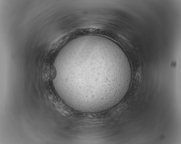 X0000115021014200911091438