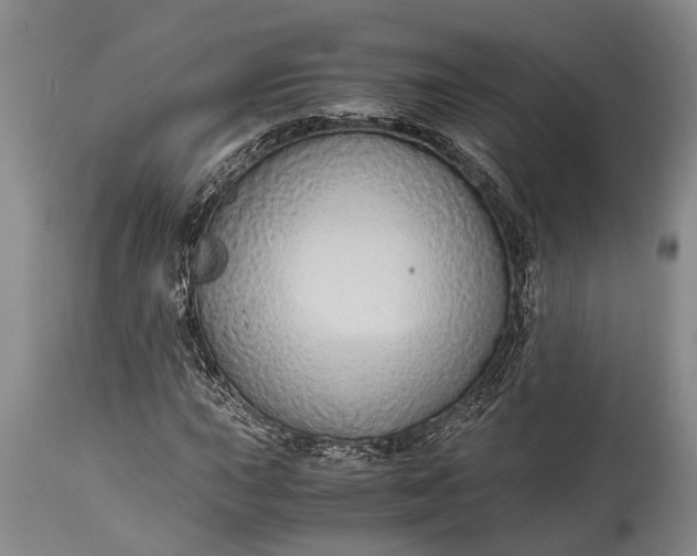 X0000115021015200911091438