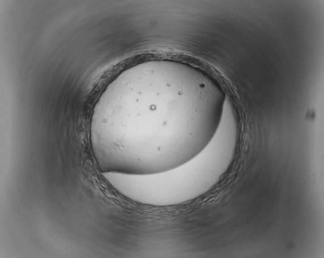 X0000115021016200911091438