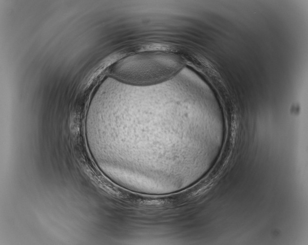 X0000115021017200911091438