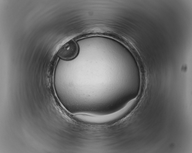 X0000115021018200911091438