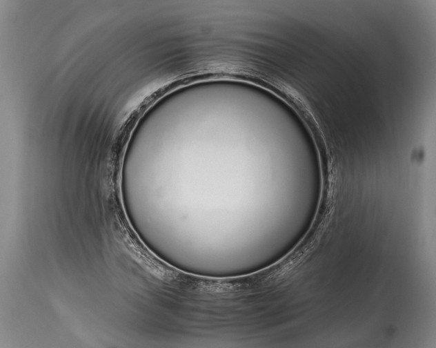X0000115021019200911091438