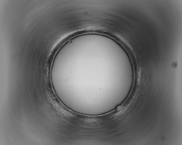 X0000115021021200911091438