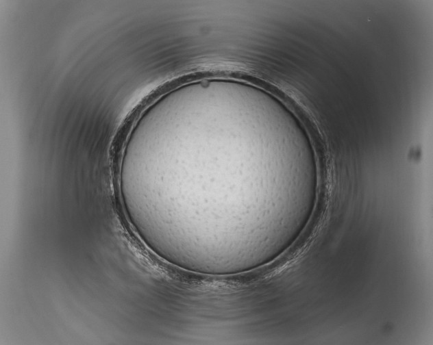 X0000115021022200911091438