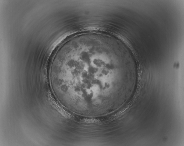 X0000115021023200911091438