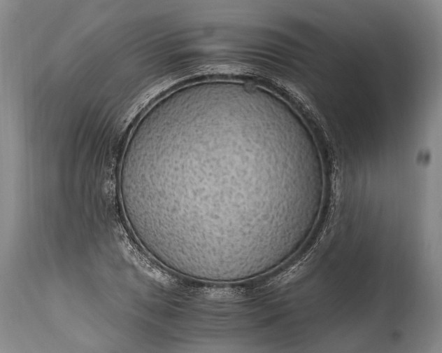 X0000115021025200911091438