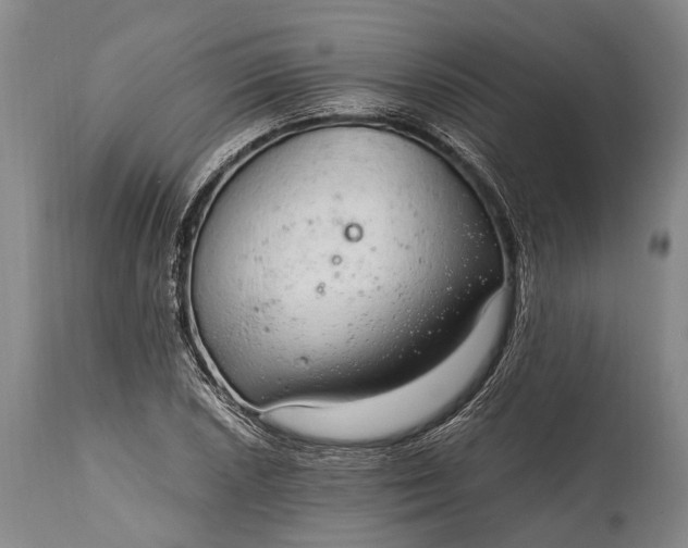 X0000115021026200911091438