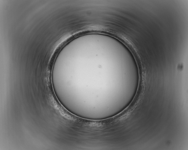 X0000115021029200911091438