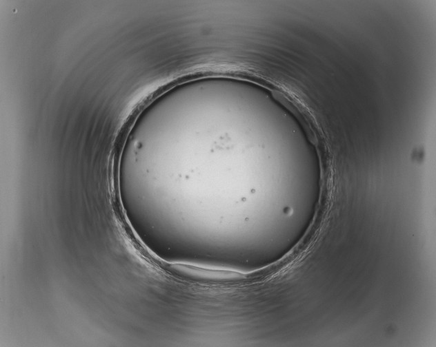 X0000115021030200911091438