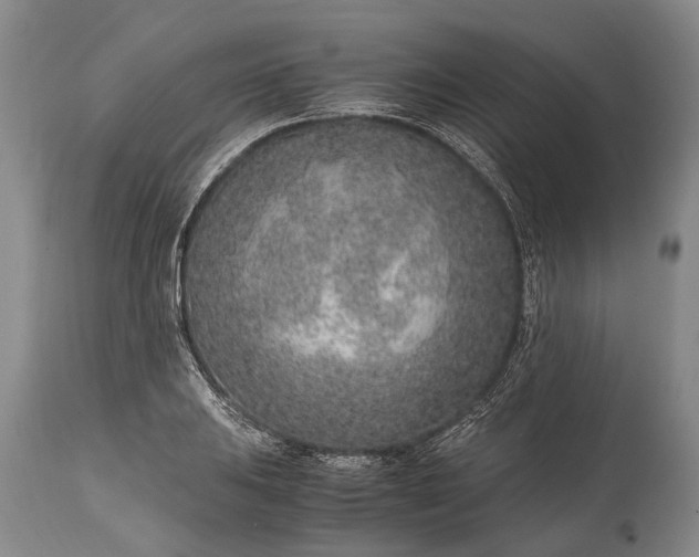 X0000115021031200911091438
